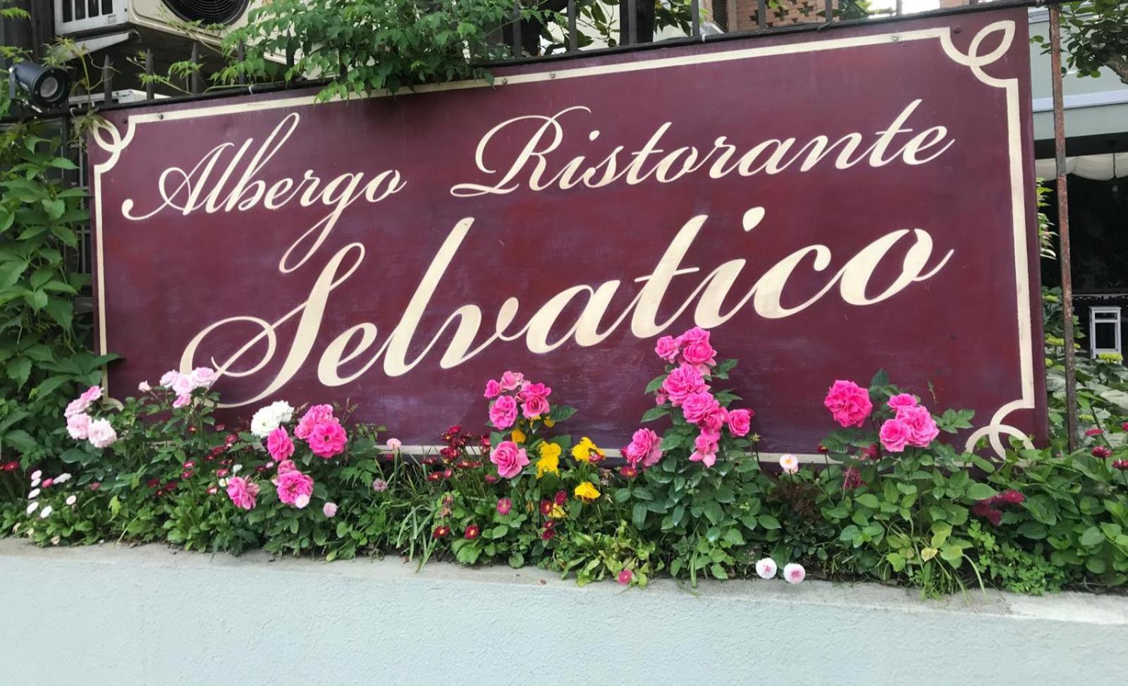 Albergo & Ristorante Selvatico ريفانازّانو المظهر الخارجي الصورة